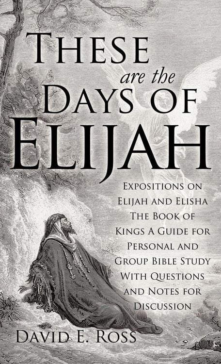 Produktbild: These Are the Days of Elijah