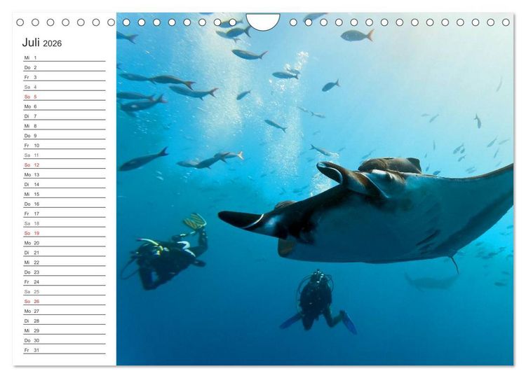 Produktbild: Malediven (Wandkalender 2026 DIN A4 quer), CALVENDO Monatskalender