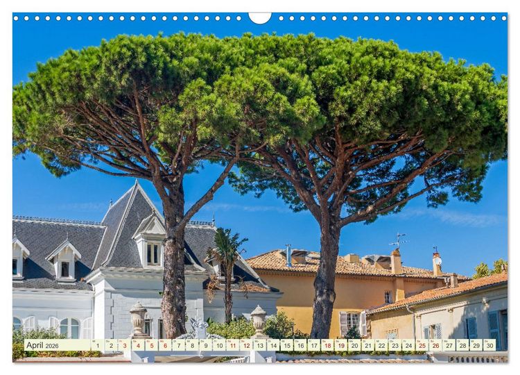 Produktbild: Mediterrane Flora - Pflanzen des S&uuml;dens (Wandkalender 2026 DIN A3 quer), CALVENDO Monatskalender