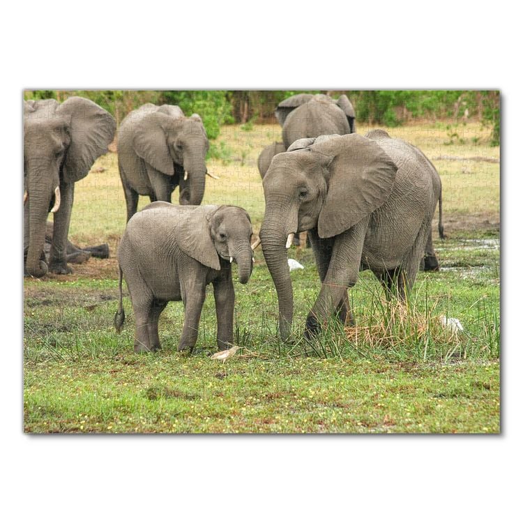 Produktbild: Lais Puzzle Elefant 1000 Teile
