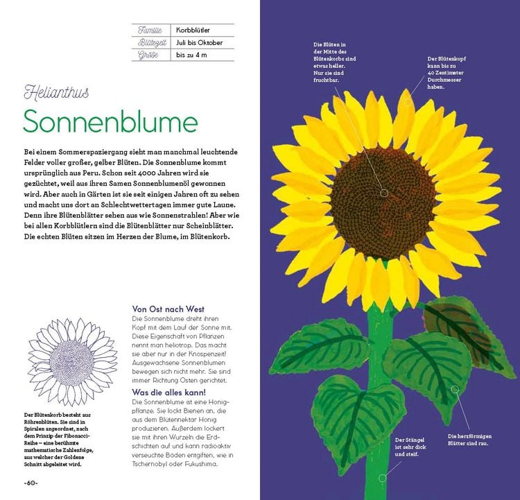 Produktbild: Magie der Blumen