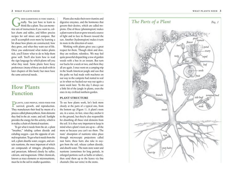 Produktbild: The Garden Primer
