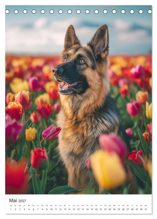 Produktbild: Seelenblick Sch&auml;ferhund (Tischkalender 2027 DIN A5 hoch), CALVENDO Monatskalender