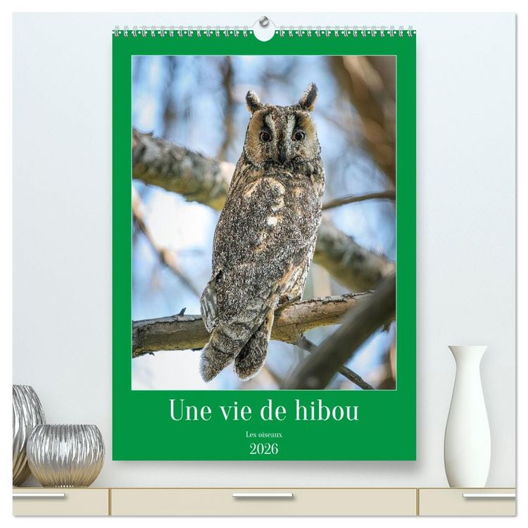 Produktbild: Une vie de hibou les oiseaux (Calendrier mural 2026 DIN A2 horizontal) calendrier de bureau