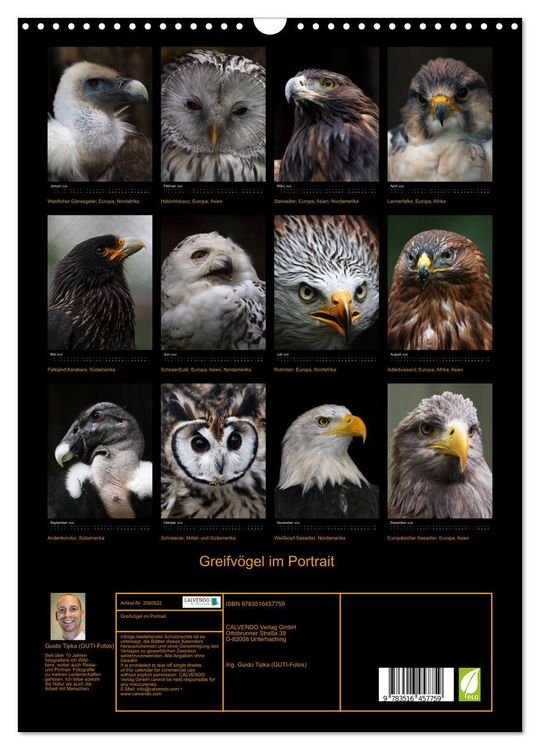 Produktbild: Greifv&ouml;gel im Portrait (Wandkalender 2026 DIN A3 hoch), CALVENDO Monatskalender