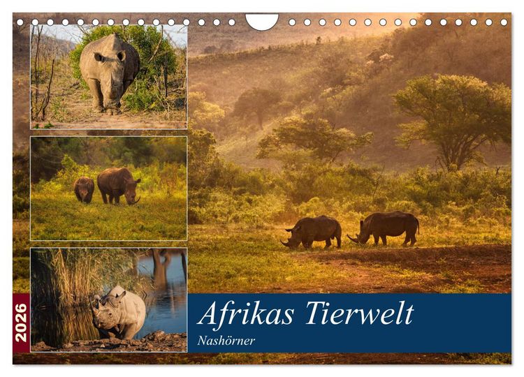 Produktbild: Afrikas Tierwelt: Nash&ouml;rner (Wandkalender 2026 DIN A4 quer), CALVENDO Monatskalender