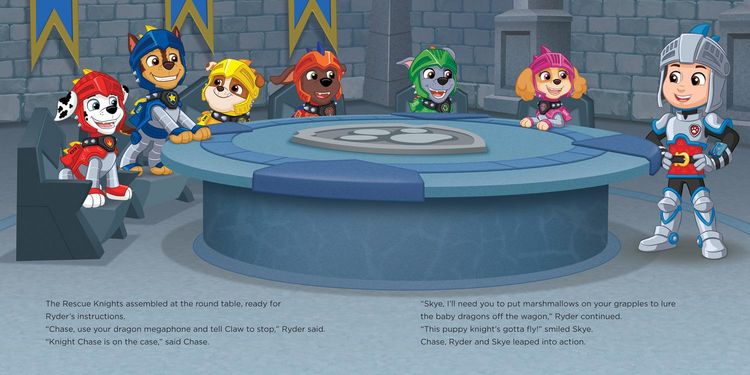 Produktbild: PAW Patrol: Daring Dragon Rescue Picture Book