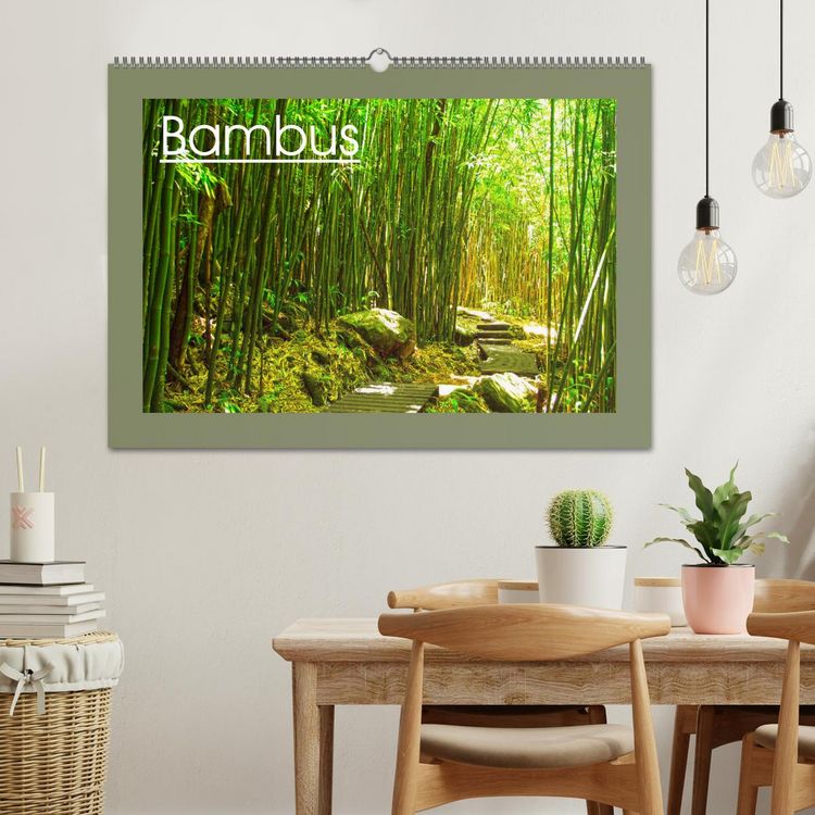 Produktbild: Bambus (Wandkalender 2026 DIN A2 quer), CALVENDO Monatskalender