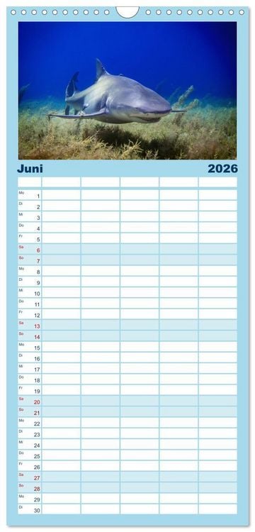 Produktbild: Familienplaner 2026 - Haie - K&ouml;nige der Meere. mit 5 Spalten (Wandkalender, 21 x 45 cm) CALVENDO