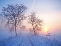 Produktbild: CALVENDO Puzzle Winterlicher Sonnenuntergang im Nebel | 1000 Teile Lege-Gr&ouml;&szlig;e 64x48cm Foto-Puzzle f&uuml;r gl&uuml;ckliche Stunden