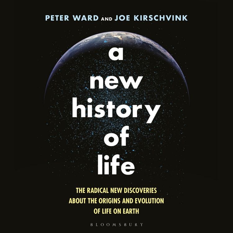 Produktbild: A New History of Life