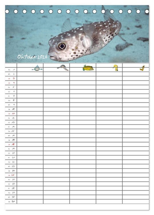 Produktbild: Der Unterwasser Familienplaner 2026 (Tischkalender 2026 DIN A5 hoch), CALVENDO Monatskalender