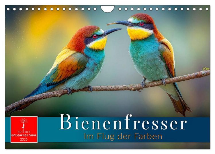Produktbild: Bienenfresser - im Flug der Farben (Wandkalender 2026 DIN A4 quer), CALVENDO Monatskalender