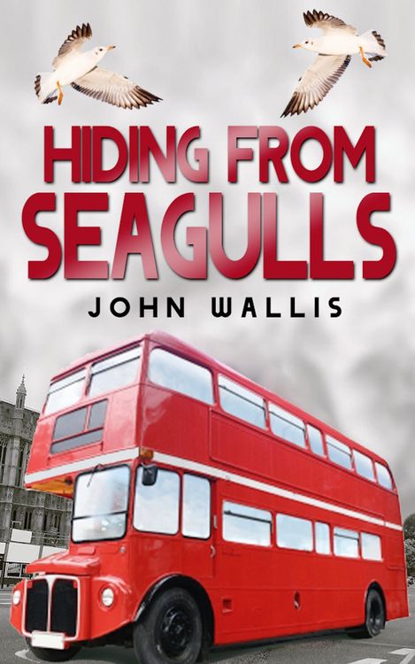 Produktbild: Hiding From Seagulls