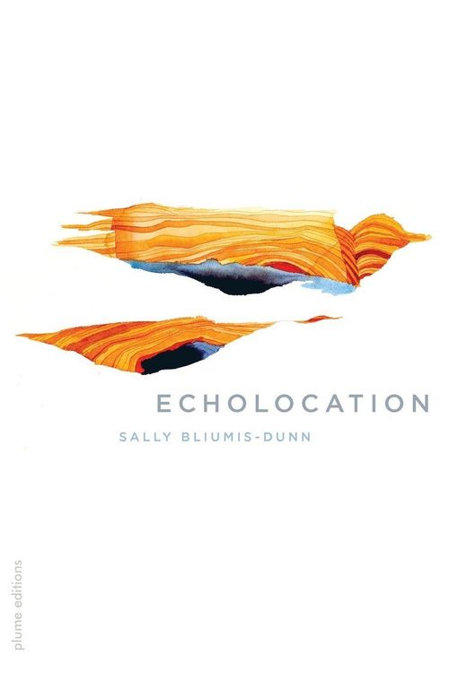 Produktbild: Echolocation