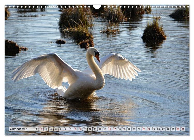 Produktbild: Urdenbach und die K&auml;mpe (Wandkalender 2027 DIN A3 quer), CALVENDO Monatskalender