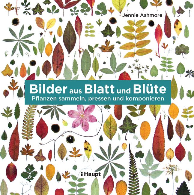 Produktbild: Bilder aus Blatt und Bl&uuml;te