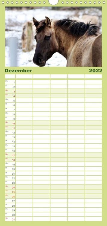 Produktbild: Familienplaner Faszination Pferde (Wandkalender 2022 , 21 cm x 45 cm, hoch)