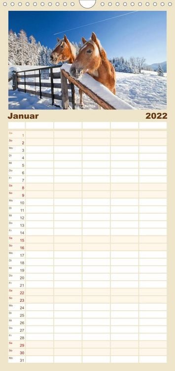 Produktbild: Familienplaner Pferde und Ponys im Paradies (Wandkalender 2022 , 21 cm x 45 cm, hoch)