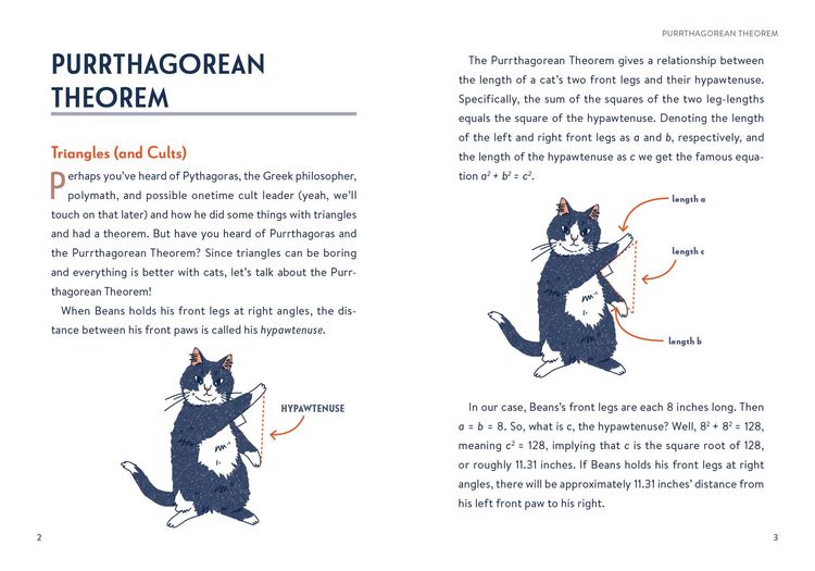 Produktbild: Math Cats