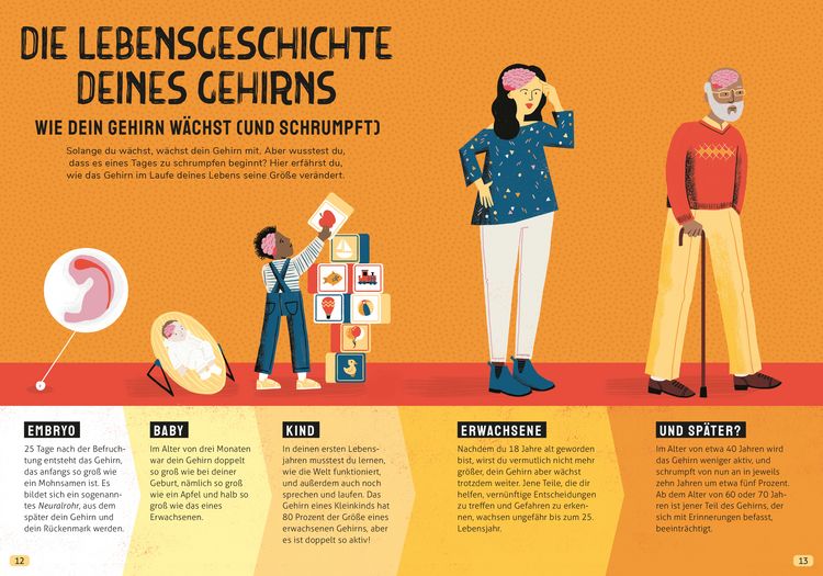 Produktbild: In den Kopf geschaut &ndash; Was das Gehirn alles kann