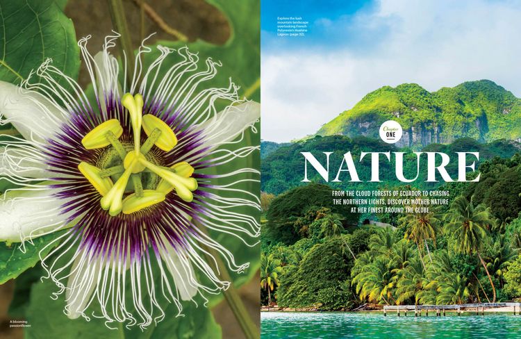 Produktbild: Best of the World