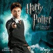 Produktbild: Harry Potter 2009 Mini Wall Calendar