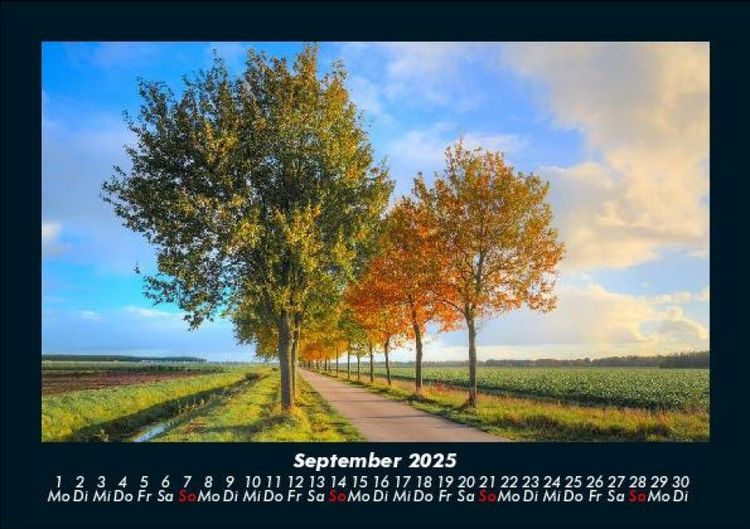Produktbild: B&auml;ume 2025 Fotokalender DIN A5
