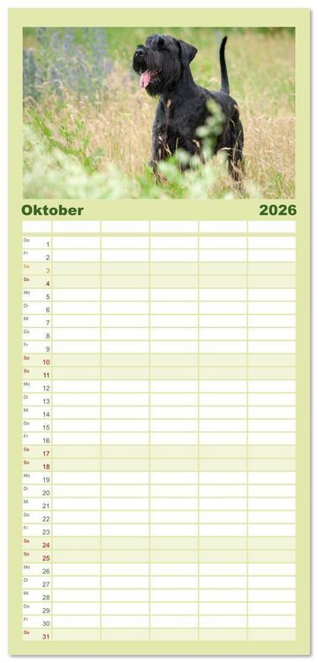 Produktbild: Familienplaner 2026 - Mit dem Riesenschnauzer durch das Jahr mit 5 Spalten (Wandkalender, 21 x 45 cm) CALVENDO