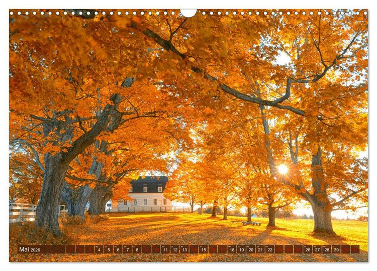 Produktbild: Neu England, Indian Summer (Wandkalender 2026 DIN A3 quer), CALVENDO Monatskalender