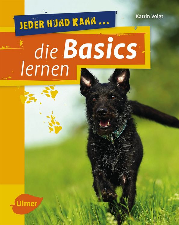Produktbild: Jeder Hund kann die Basics lernen