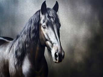 Produktbild: CALVENDO Puzzle Ein Motiv aus dem Kalender "Only Black" | 2000 Teile Lege-Gr&ouml;&szlig;e 90x67cm Foto-Puzzle f&uuml;r gl&uuml;ckliche Stunden