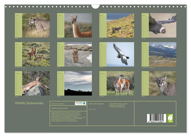Produktbild: Wildlife S&uuml;damerika (Wandkalender 2026 DIN A3 quer), CALVENDO Monatskalender
