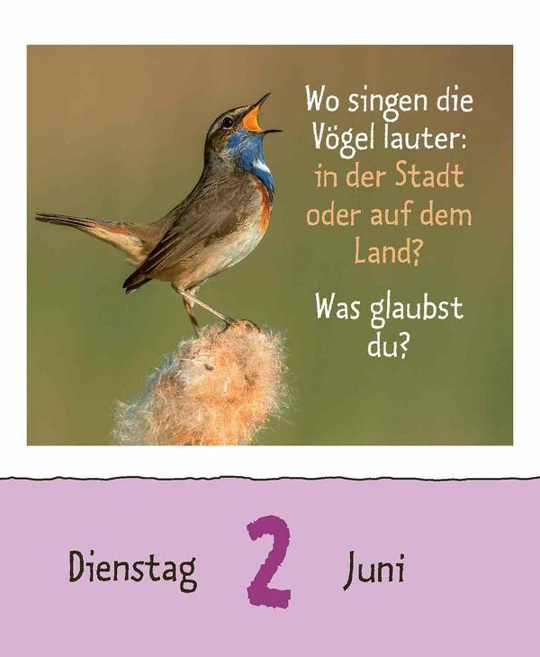 Produktbild: Wie faul ist das Faultier? 2026