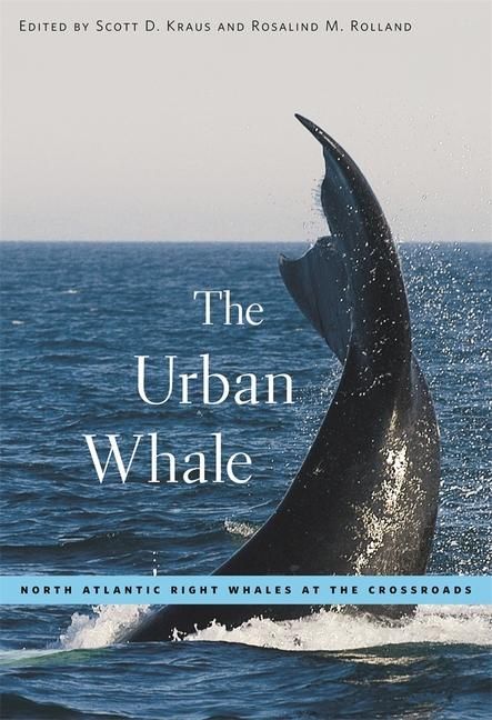 Produktbild: The Urban Whale