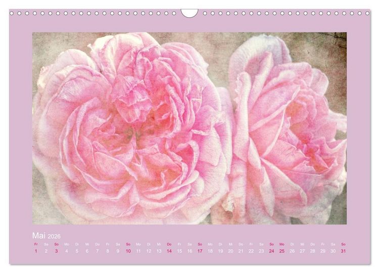 Produktbild: Romantische Rosen (Wandkalender 2026 DIN A3 quer), CALVENDO Monatskalender