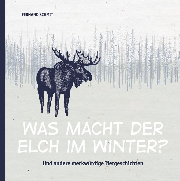 Produktbild: Was macht der Elch im Winter?