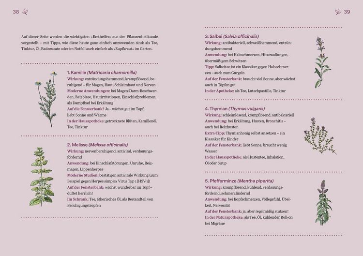 Produktbild: Herbal Healing &ndash; Medizin aus der Natur