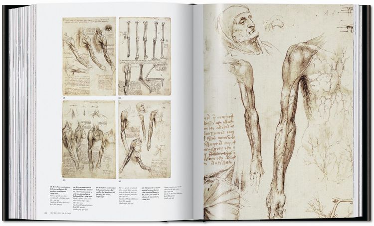 Produktbild: Leonardo