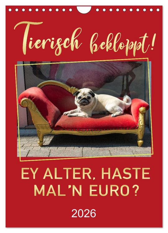 Produktbild: Tierisch bekloppt! (Wandkalender 2026 DIN A4 hoch), CALVENDO Monatskalender
