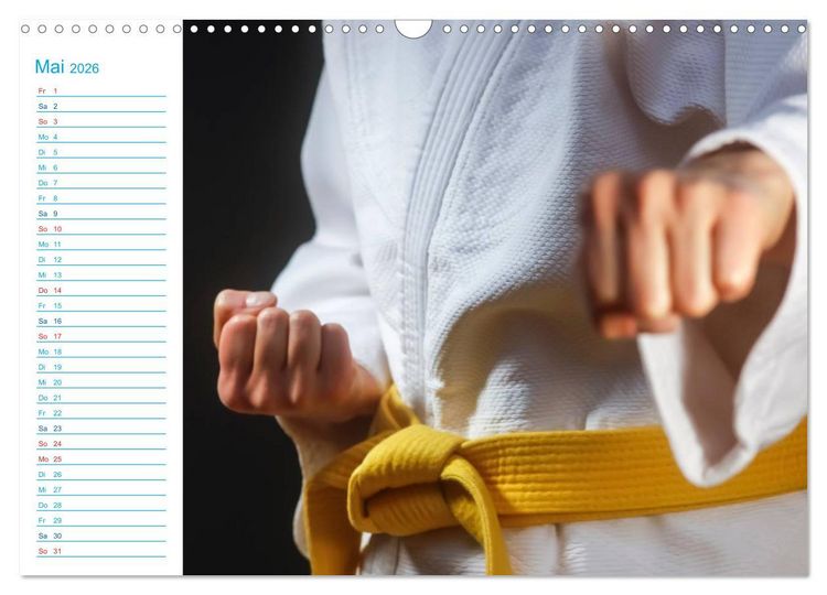 Produktbild: Kampfsport (Wandkalender 2026 DIN A3 quer), CALVENDO Monatskalender