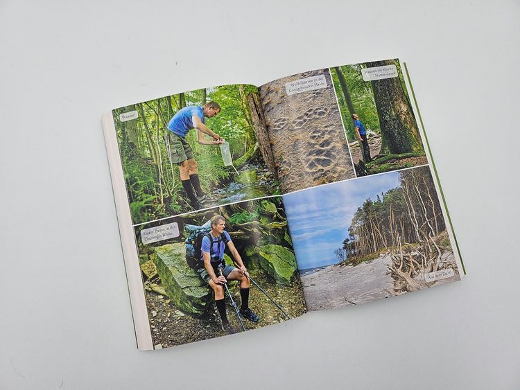 Produktbild: Der Waldwanderer