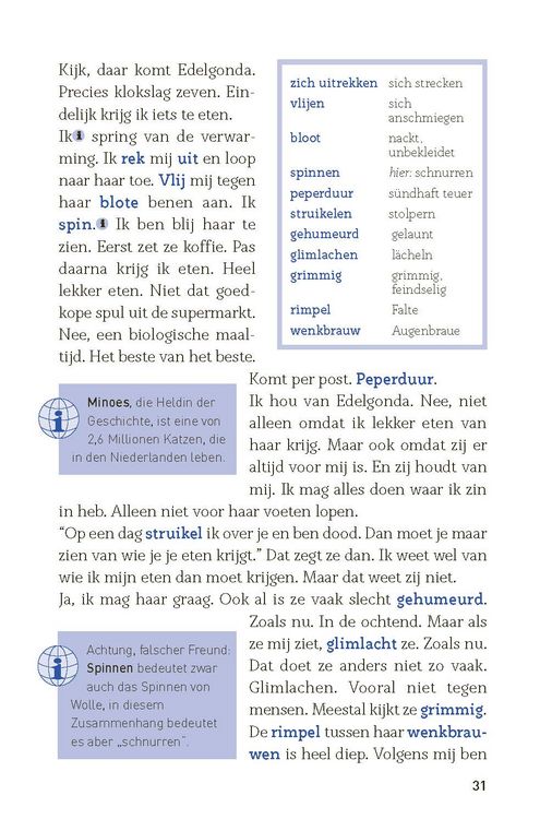 Produktbild: Een zomer in Amsterdam