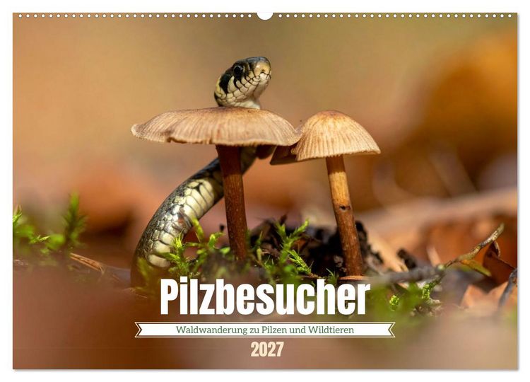 Produktbild: Pilzbesucher (Wandkalender 2027 DIN A2 quer), CALVENDO Monatskalender
