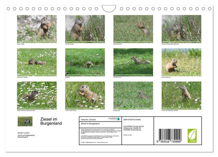 Produktbild: Ziesel im Burgenland (Wandkalender 2026 DIN A4 quer), CALVENDO Monatskalender