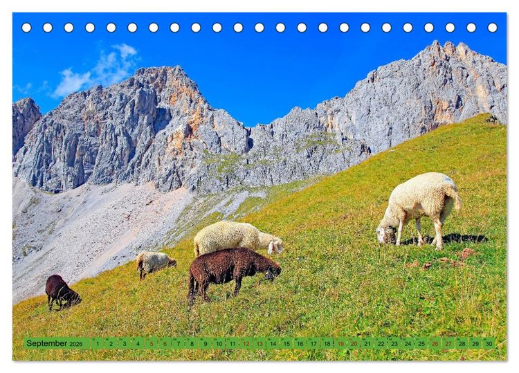 Produktbild: Auf Weidefl&auml;chen und Hochweiden (Tischkalender 2026 DIN A5 quer), CALVENDO Monatskalender