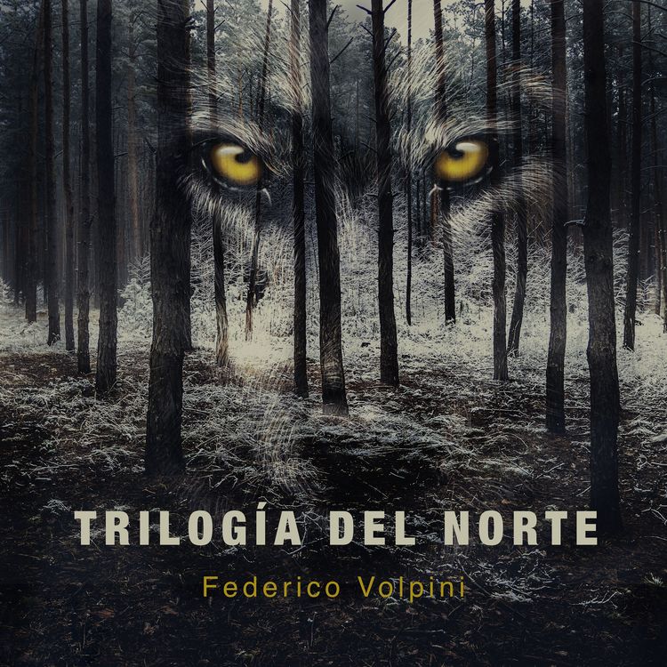 Produktbild: Trilog&iacute;a del Norte