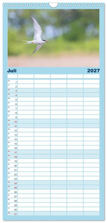 Produktbild: Familienplaner 2027 - Limikolen - Watv&ouml;gel aus Europa mit 5 Spalten (Wandkalender, 21 x 45 cm) CALVENDO