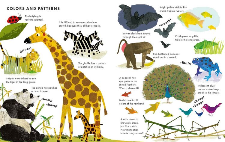 Produktbild: Big Book of Animals