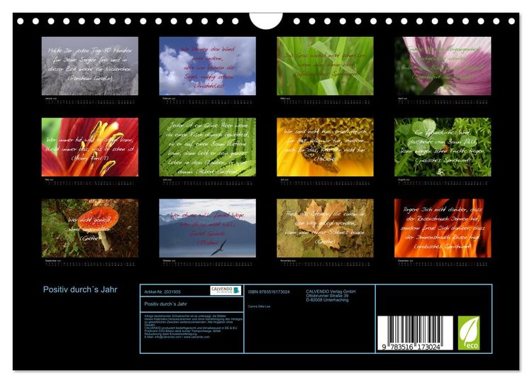 Produktbild: Positiv durch&acute;s Jahr (Wandkalender 2026 DIN A4 quer), CALVENDO Monatskalender